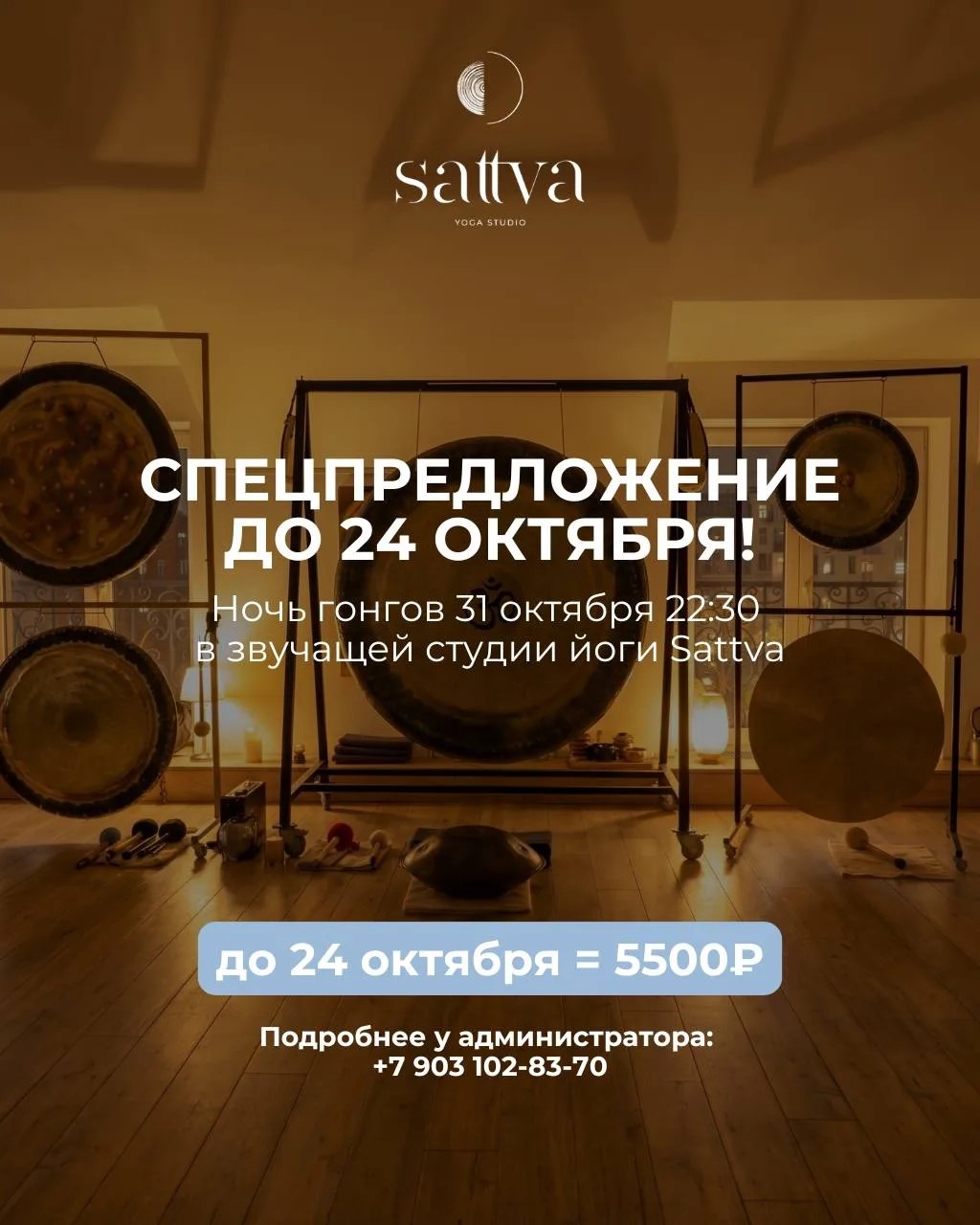 Ночь гонгов с Юлией Шешеневой и Леонидом Сафошкиным